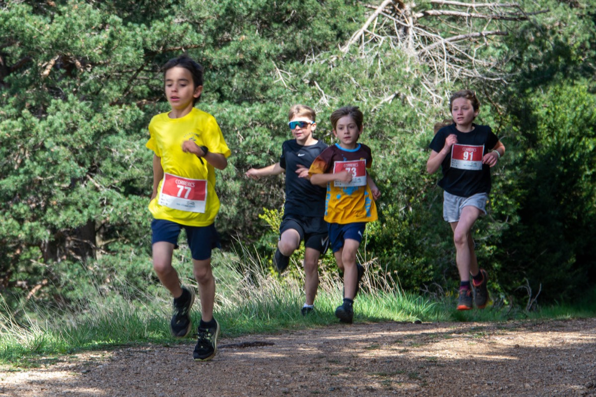 Quatre nenes i nens corrent junts per un camí de bosc.