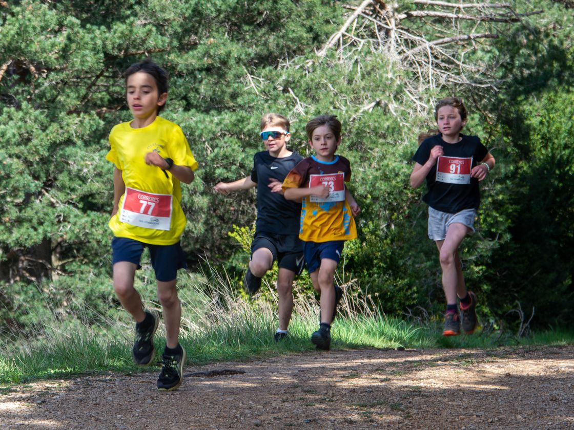 Quatre infants corren junts per un corriol de bosc.